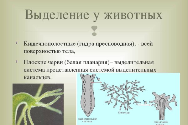 Кракен новый маркетплейс