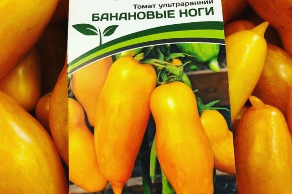 Зайти на кракен тор