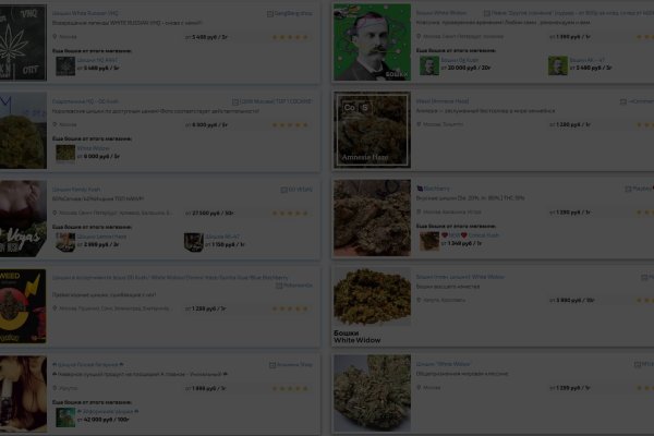 Kraken как найти ссылку
