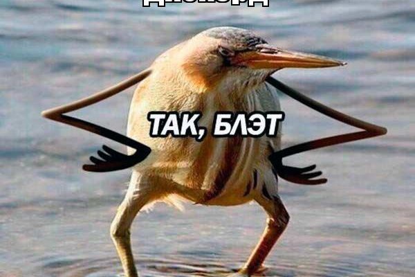 Kraken 13 at сайт