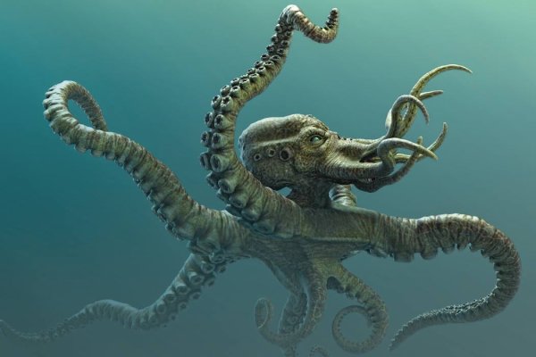 Ссылка на kraken торговая площадка