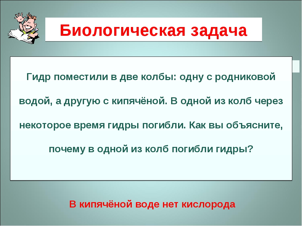Кракен маркетплейс официальный сайт сайт ссылка