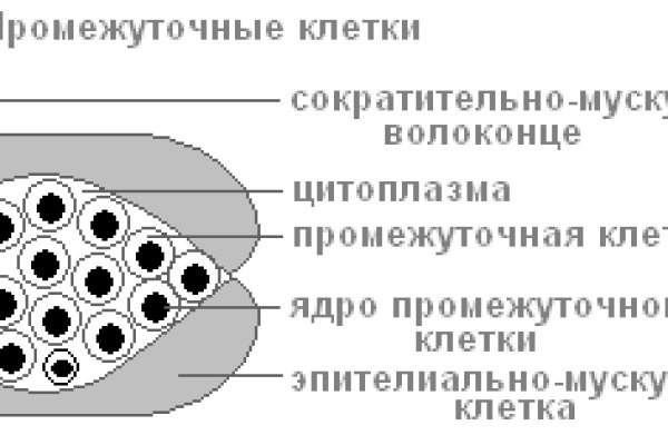 Кракен ссылка kraken dark link