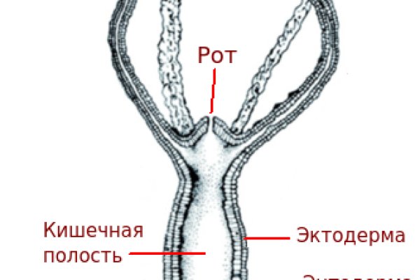 Мега кракен блэк спрут