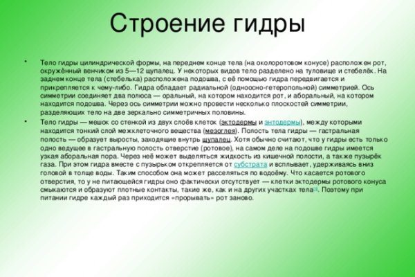 Kraken настоящая ссылка