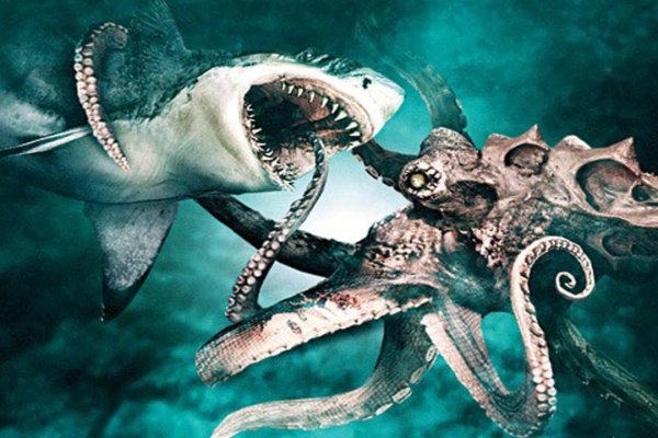 Зайти на кракен через браузер