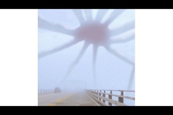 Ссылка на кракен onion kraken dark link