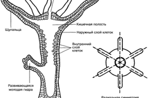 Кракен рабочая ссылка на сайт