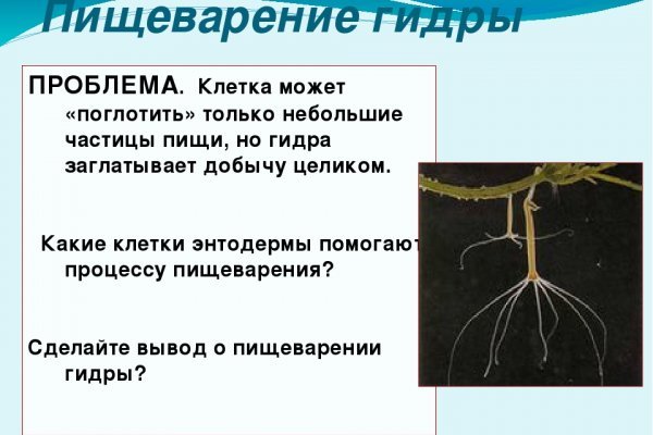 Kraken зайти на сайт