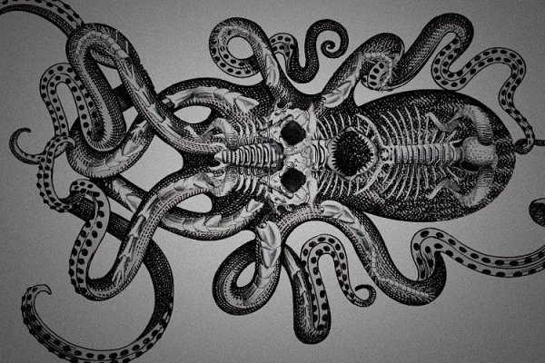 Kraken 23at