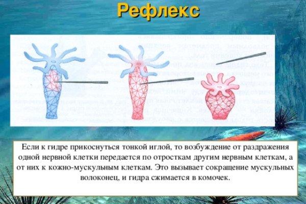 Кракен маркетплейс что это