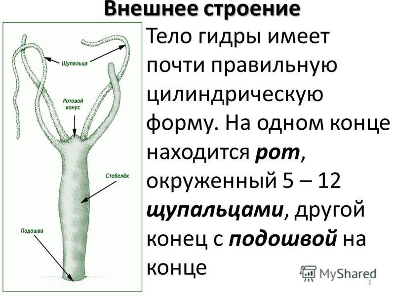 Кракен топ